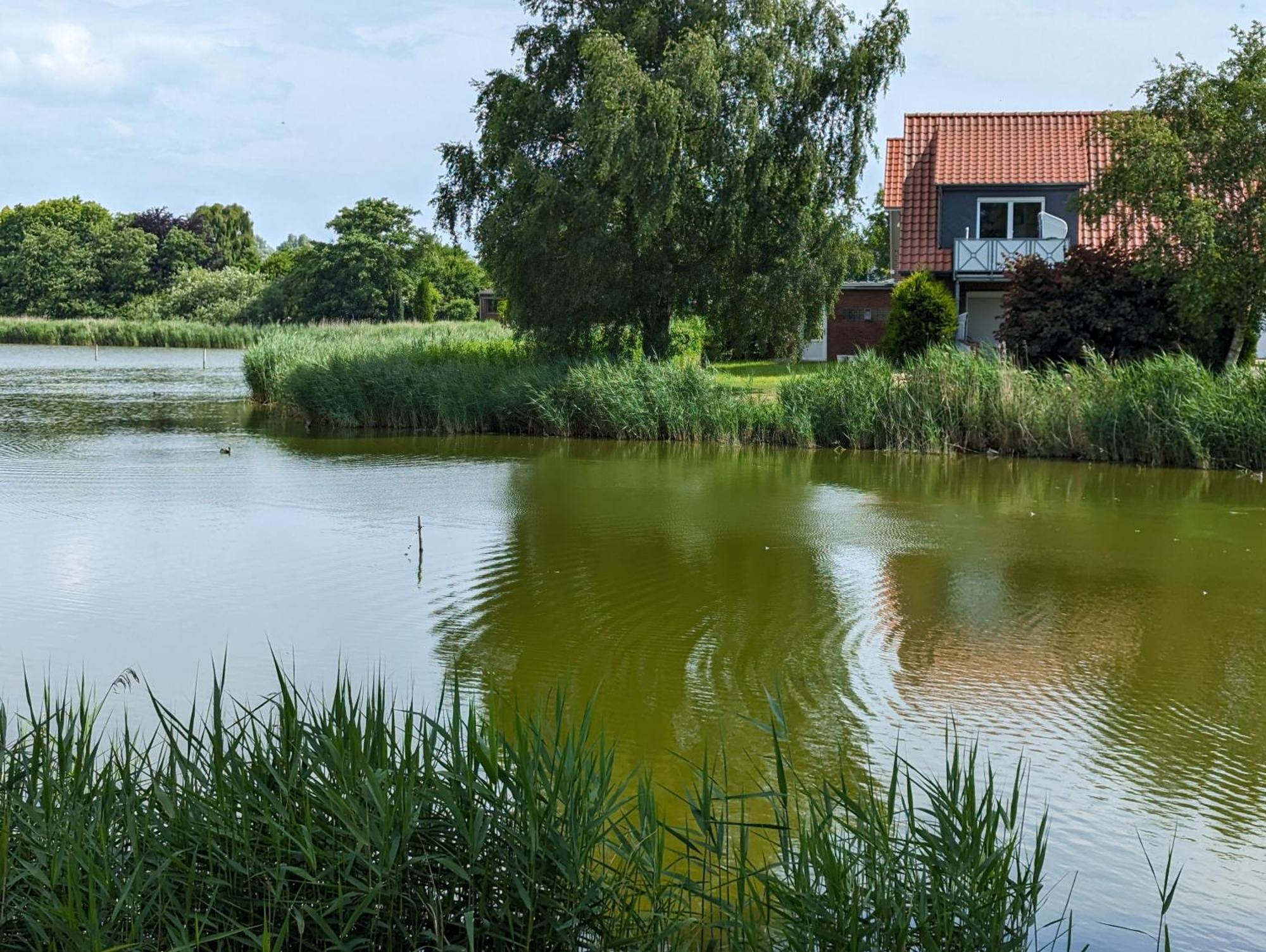 Fewo Oldeoog Og - Horumersiel Exterior photo